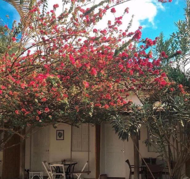 Pousada Sol Nascente Caraíva Dış mekan fotoğraf